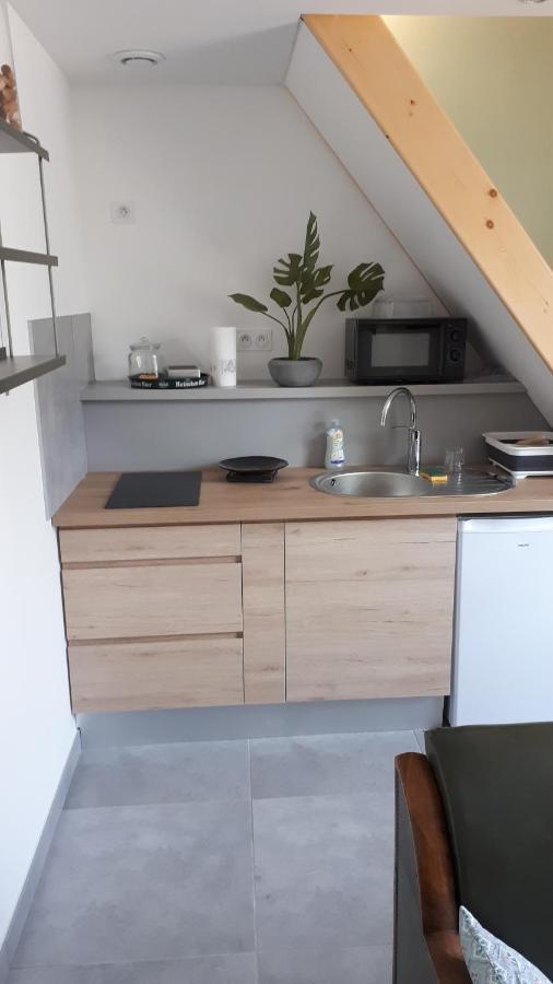 Le Chartreuse / Rent4Night Grenoble Daire Dış mekan fotoğraf